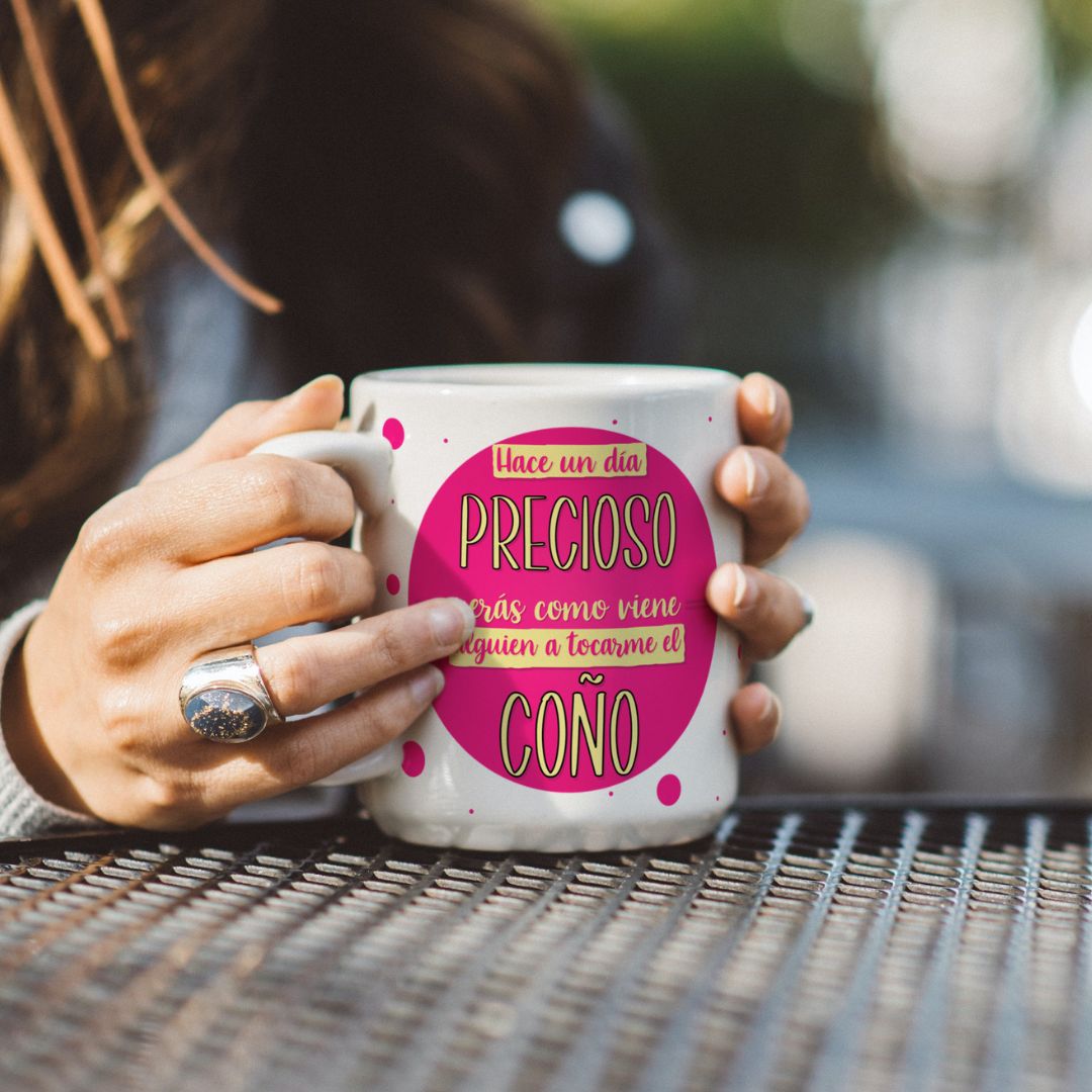 comprar-Taza Hace un día precioso, veras como viene alguien a tocarme el coño-wondernastic