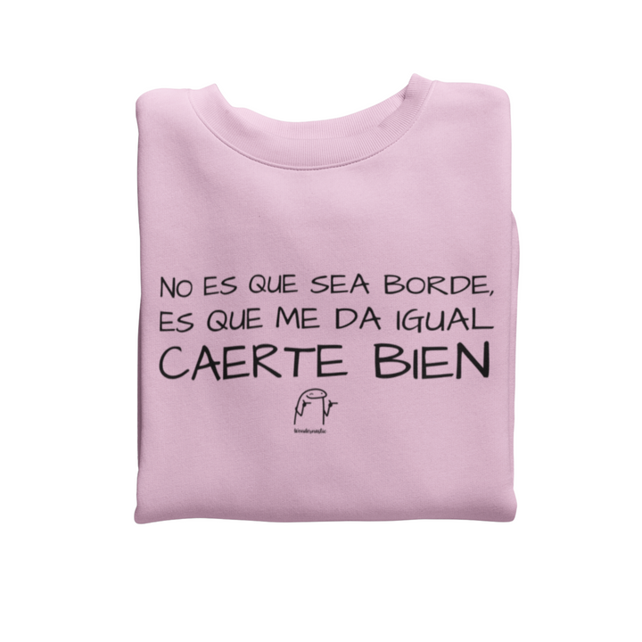 comprar-Sudadera No es que sea borde-wondernastic
