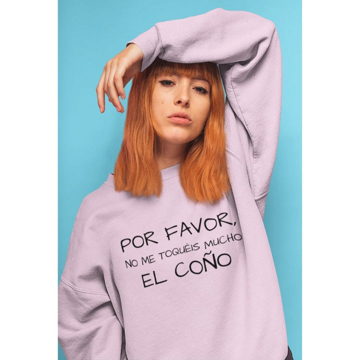 comprar-Sudadera Por favor, no me toquéis mucho el coño-wondernastic